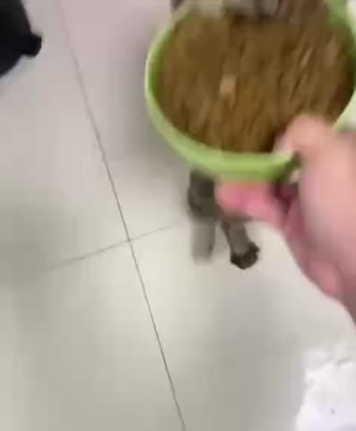 VID_20260824_160330_682