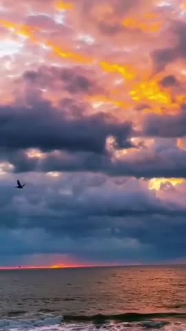 video_15634994828728