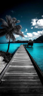 LLI7KPkduK3D5FvaCUV-8J6bYuaDFyKg2RTusGOkqVUkfWbbQqYc4Wcrhm5l0O90KAxnlQlLkXNRytGldlP6oEt-