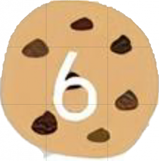 6