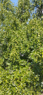 IMG_20260826_100222