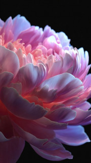 ibsG0onE8jppA03Q7O9Ft5aqQmIRibhJBpdt8rYgEU6ce1QeGKbqj2U3AH5HWQUNJraKoRIxSGEyZsvi7_ZGknuX