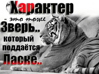 Характер