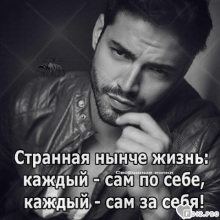 -393318-Жизнь-