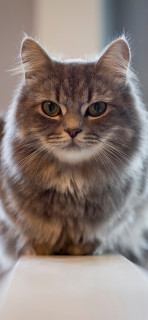 STA00z8bfB0JSctyFLhaFASnlTKGHFtqxcD2eVf6oxf8yPDESgeFK-yE1z418eYDjmEqTnnfGQmlvxgV-3D0KAn5