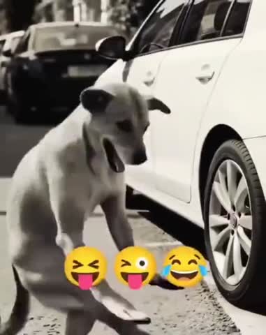 нас_увозят_в_дурку