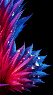JVMwXeVRtwmYqqcFJPiDqIz0iy_g_0HxEKZ4PjP9FQl92EsX821PXYbyguJzqvtdmfxfYk_C9qTS60FgKJUmCebO