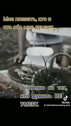 a3a14f75339353288a47a7e3fed831d6
