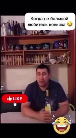 Дегустатор