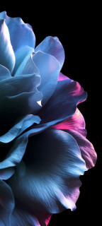 8KtbD69aUH0aC1Rm3N8QMdMs_uFftB54pKLA33TndO8Dv2qJldPLocxJ72xXIbrWjcOuCZW4zTStg7HMJBkN4j