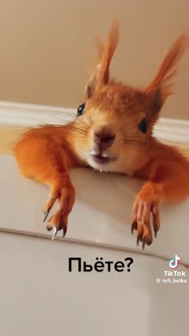 5902c8f68e39bfd388dda949a501b0d7