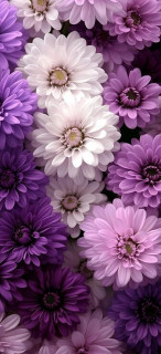 axpH7tjJi01L5si1rVawhJy38H7qP9WHi9iYnRElh5BHvQc8sjFleB1PB2T0pkD0P6D5Np02r3sAHEqOndQx8-yh