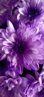 o3eW3LbzyQkgJyGYiWrQ7Uc3jLlZlR93DTdVN_ygVNqM2qHUV_gDWX76OLlJoCY24yHz1qiMFIhrSp9MLJltw8JQ