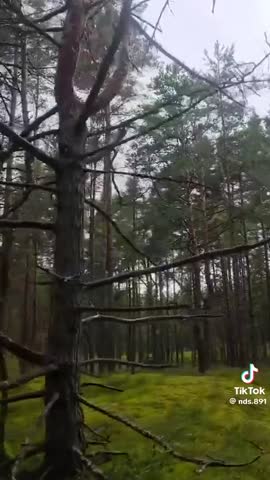 video_16546760122301