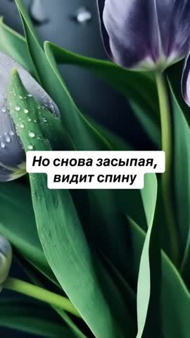 VID_20260913_231924_461