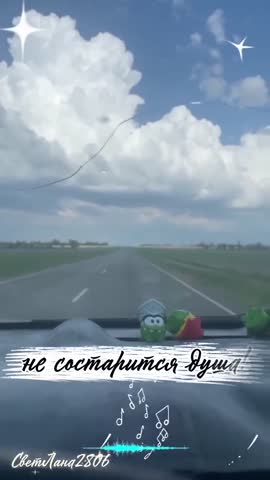 video_16546760253373