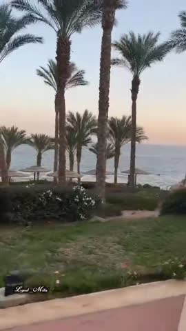 VID_20260916_180645_787