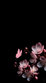 ZGR7td1edzbIlk_3ztiZxodJVdc-fVLNqc1e7h-3f5z5M6w1do9KRMGZQKZcSihF2NwFYzdouqB0sxheC8JZrqpR