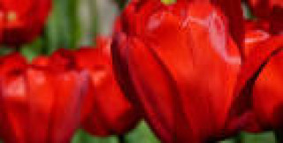 images-3