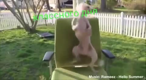 video-1530476078