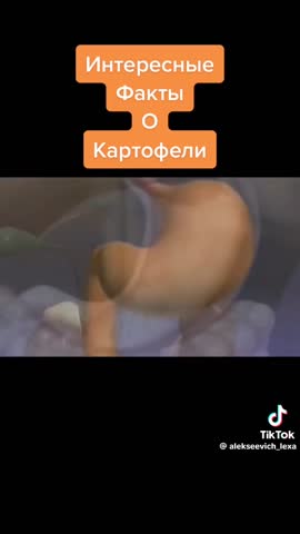 0073632e9ec0bb4e4d82fae4a1913996