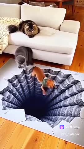 777