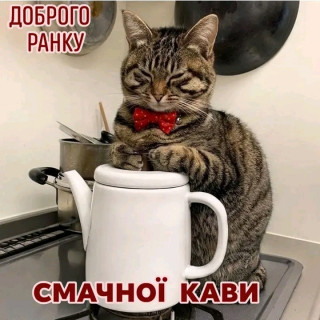 1790316618393