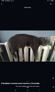 -Греемся-