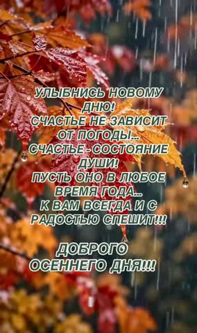 VID-20260923-WA0008