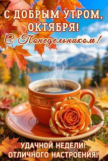 IMG-daa85ce7baa580381fd8e3a9eef44768-V