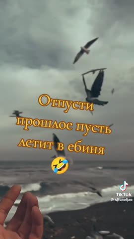 f55ced5e97853ee3e4f8c6f0a80392d3