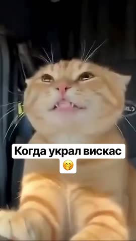 ВИСКАС