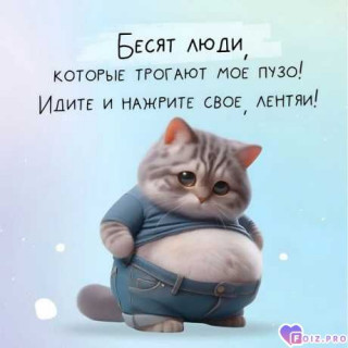 -428661-Пузо-