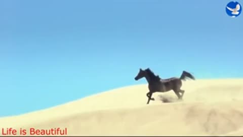 В_ПУСТЫНЕ