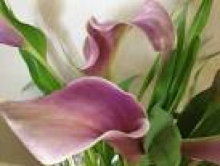 images-18