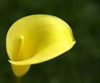 images-20