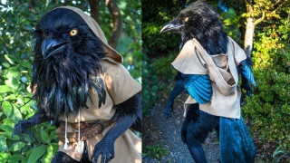 девушка-ворон