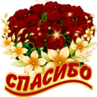Спасибо
