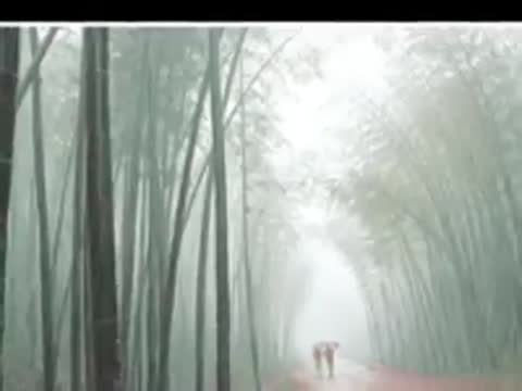 Шопен_Вальс_дождя