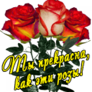 Цветы