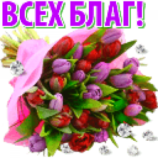 Всех_благ1
