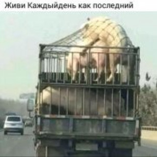Х