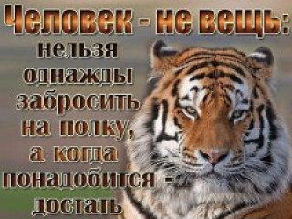 Ци