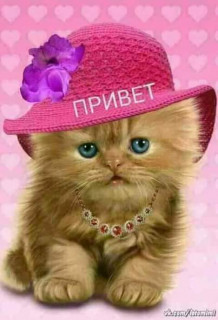 37346222_479973272472086_7373274174992678912_n