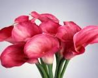 images-9