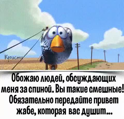 image_14