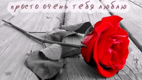 Foiz__Букет_цветов_для_тебя_low