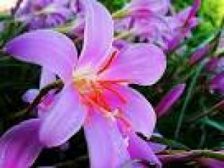 images-13
