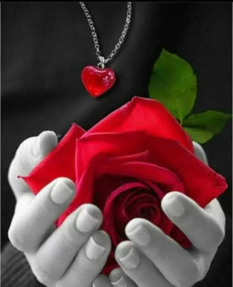 36612692_646743209011139_5980121439984943104_n