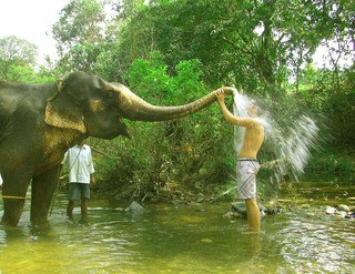 d5dc4f826fd1c474df224a33c9449db9